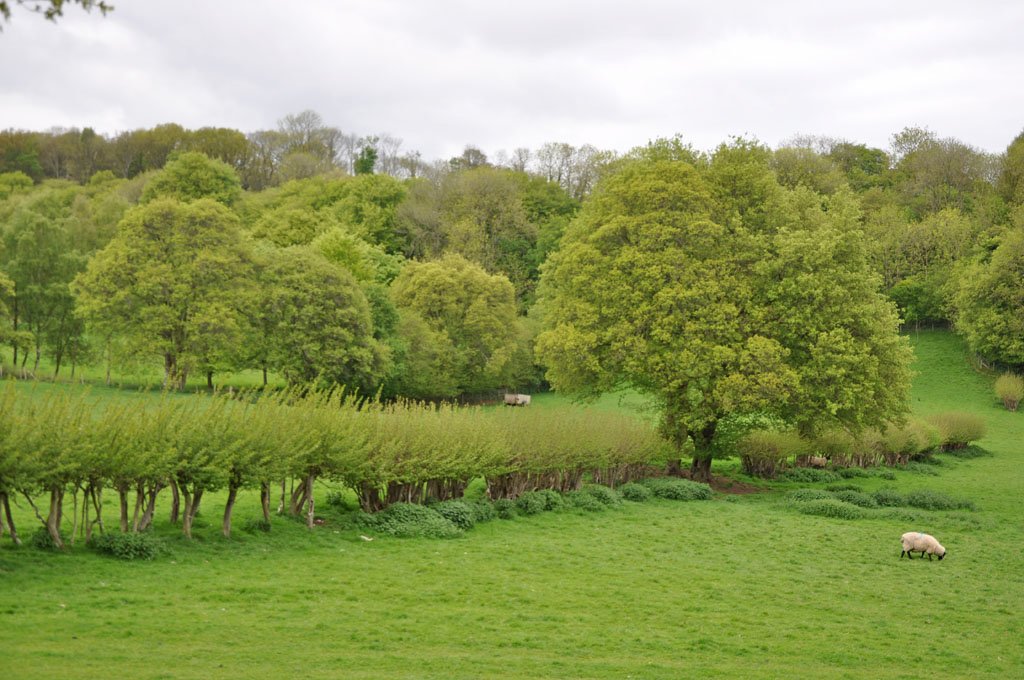 cottage10.jpg