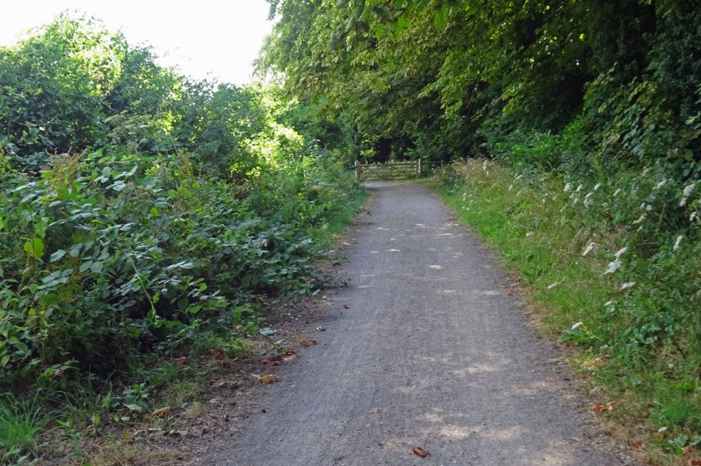 meonvalleytrail14.jpg
