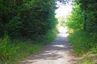 meonvalleytrail24_small.jpg