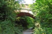 meonvalleytrail8_small.jpg