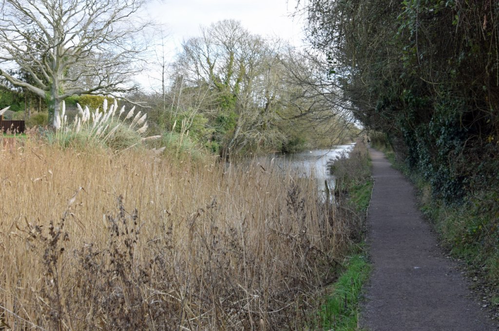 chichestercanal18.jpg