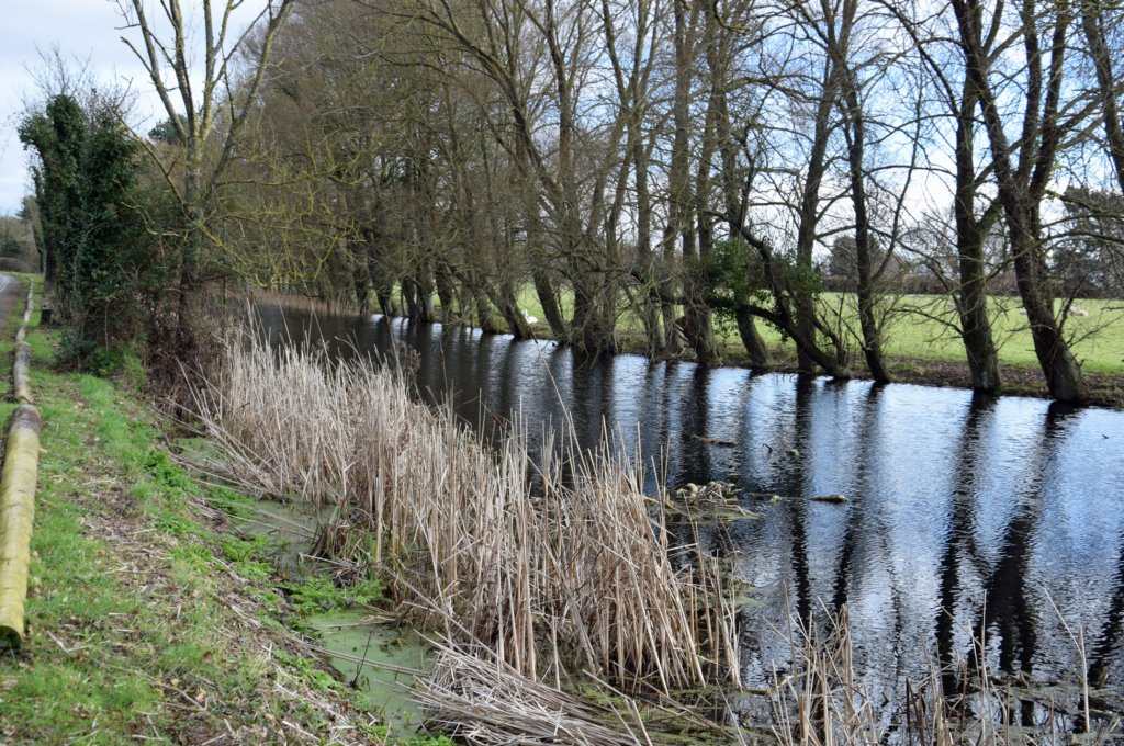 chichestercanal3.jpg