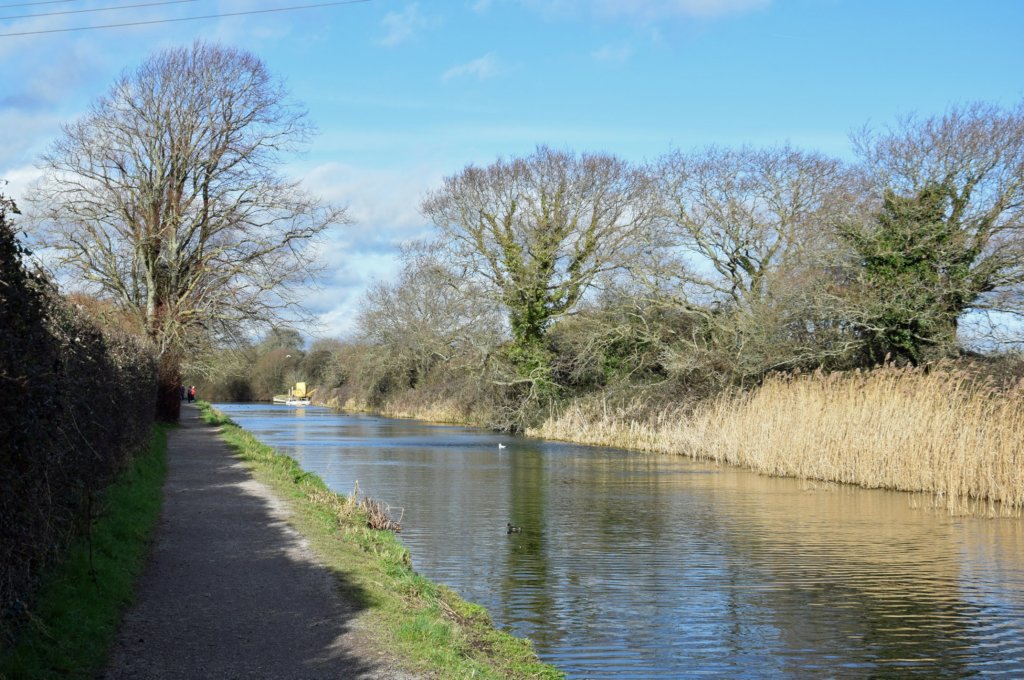 chichestercanal31.jpg