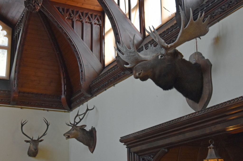 tyntesfield35.jpg
