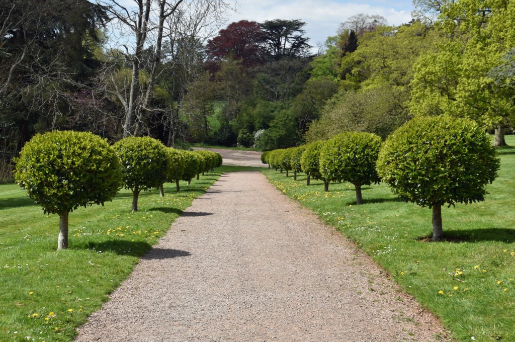 tyntesfield61.jpg