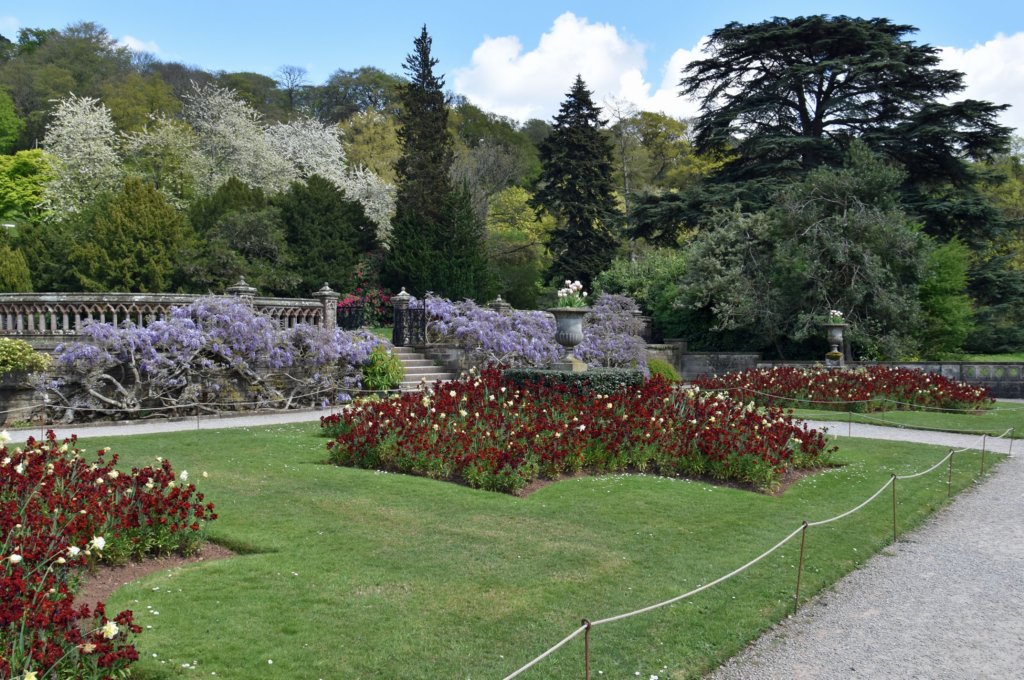 tyntesfield65.jpg