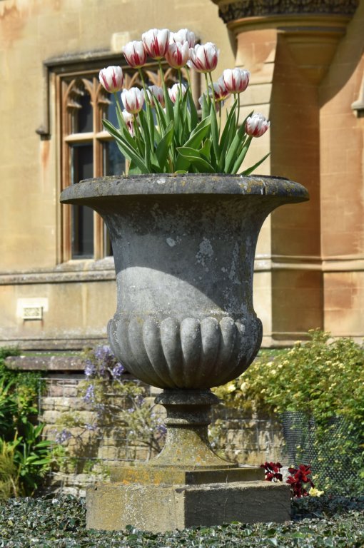 tyntesfield67.jpg