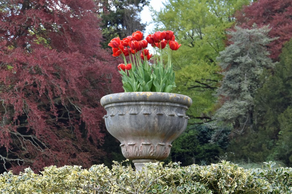 tyntesfield71.jpg