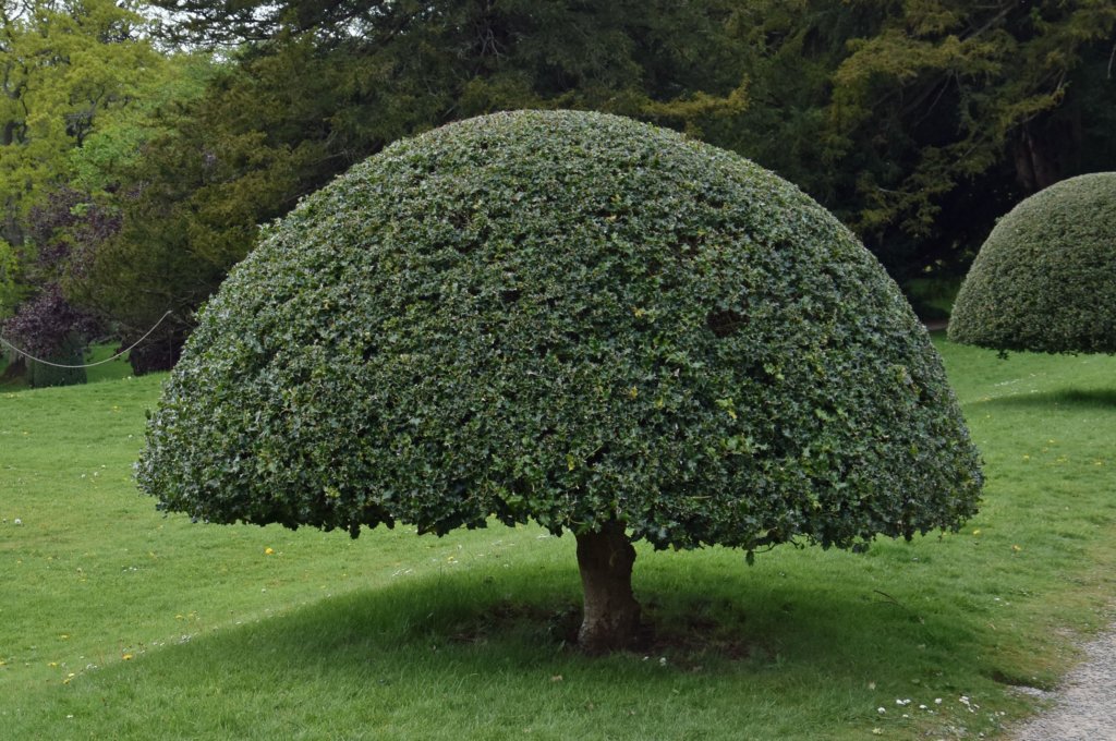 tyntesfield74.jpg