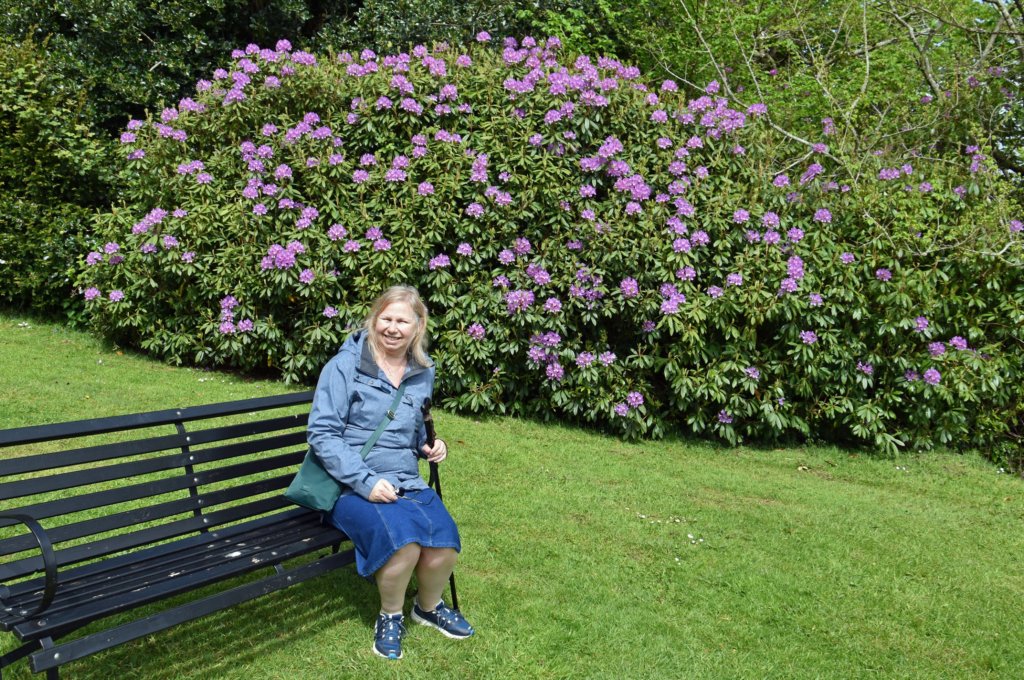 plasnewydd27.jpg