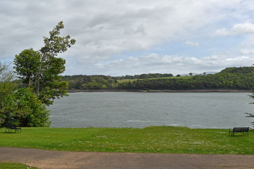 plasnewydd28.jpg