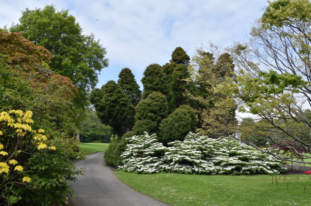 plasnewydd41.jpg