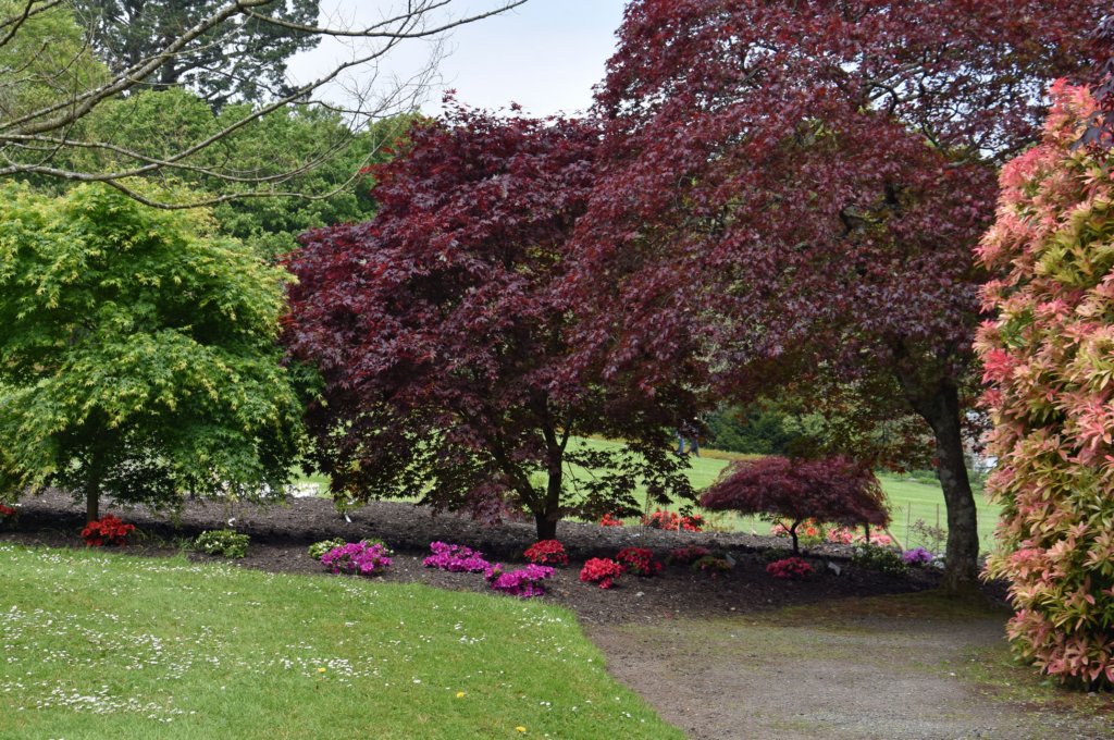 plasnewydd43.jpg
