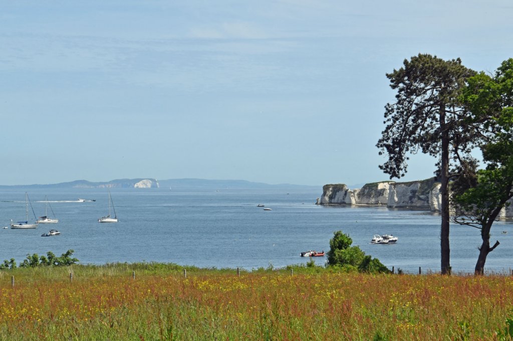 studland27.jpg