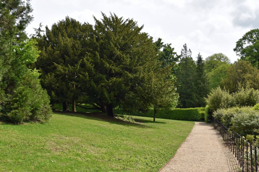 kingstonlacy39.jpg