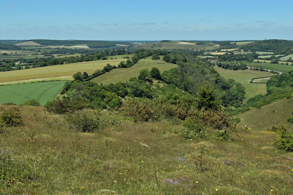 butserhill3.jpg