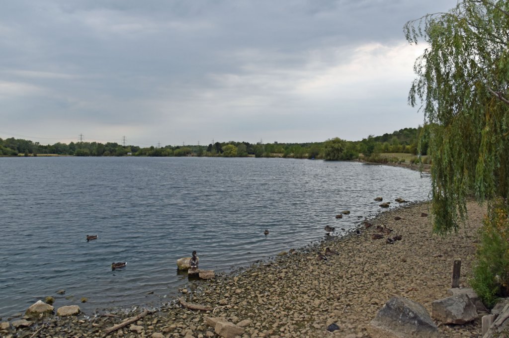 rothervalleycountrypark2.jpg