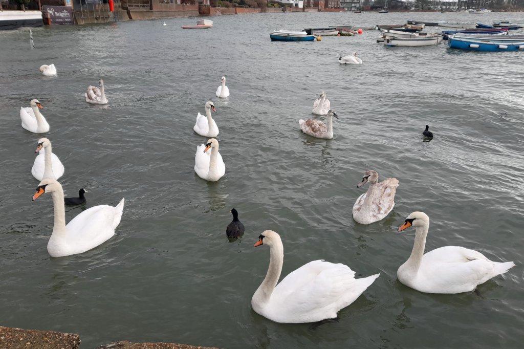 emsworth.jpg
