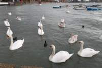emsworth_small.jpg